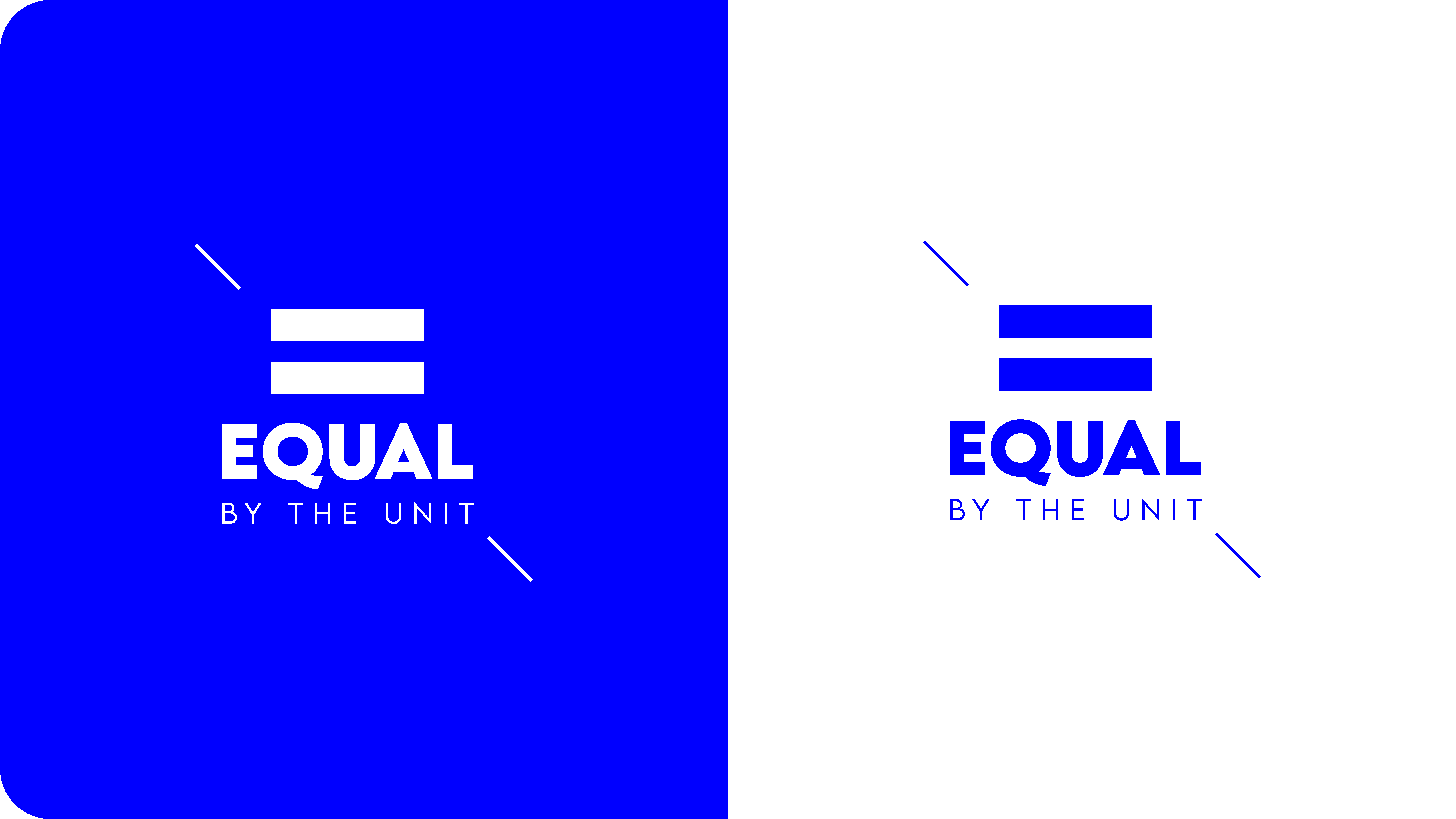 EQUAL BLUE AND WHITE LOGO COLOR